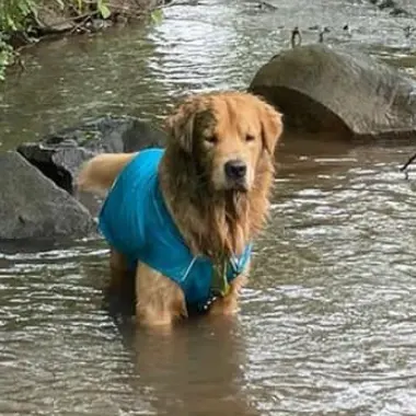 Vikrant - Nature Trail Client